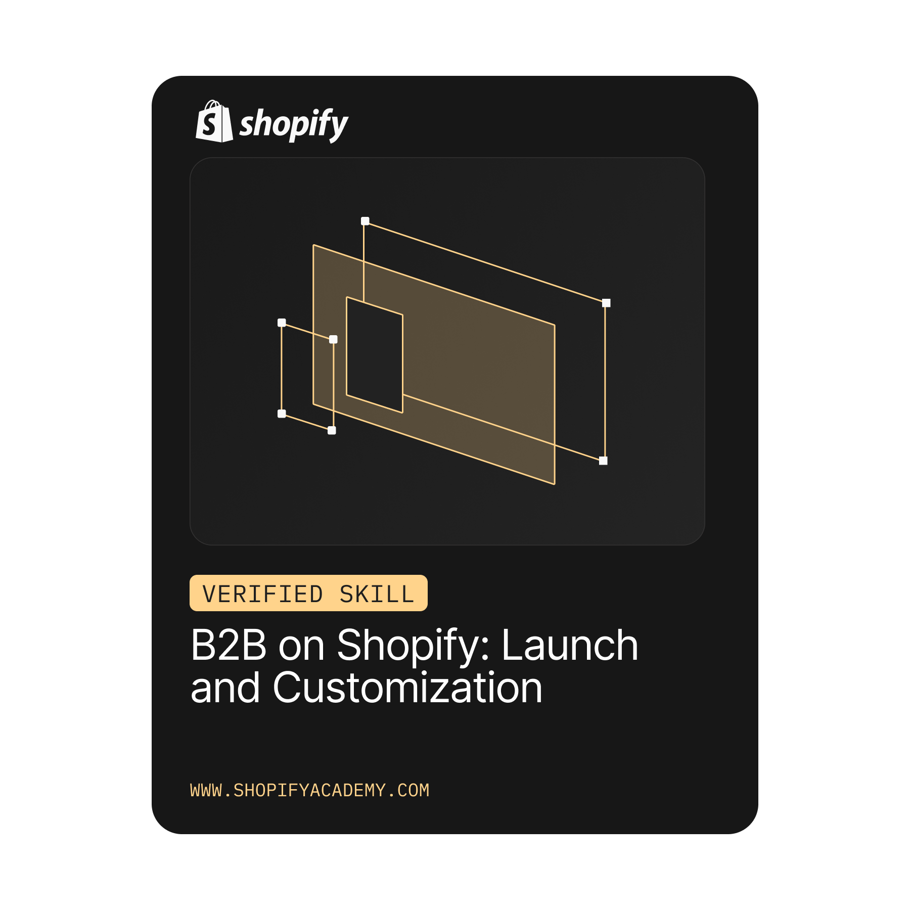 Shopify Academy Verified Skill â€” B2B on Shopify: Launch and Customization